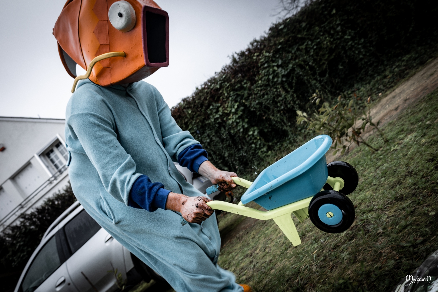 La plantation  - Photo 9