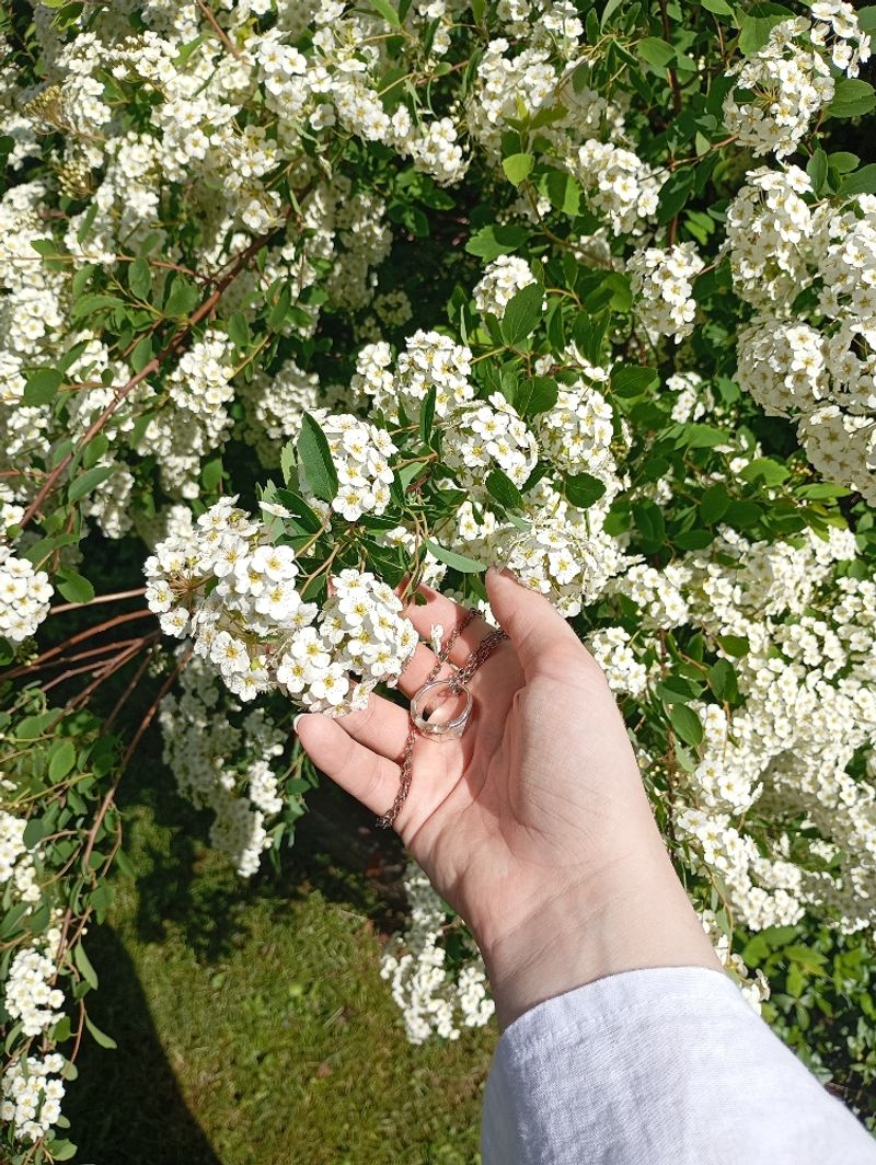 Paranoire_cos – Xie Lian!! 