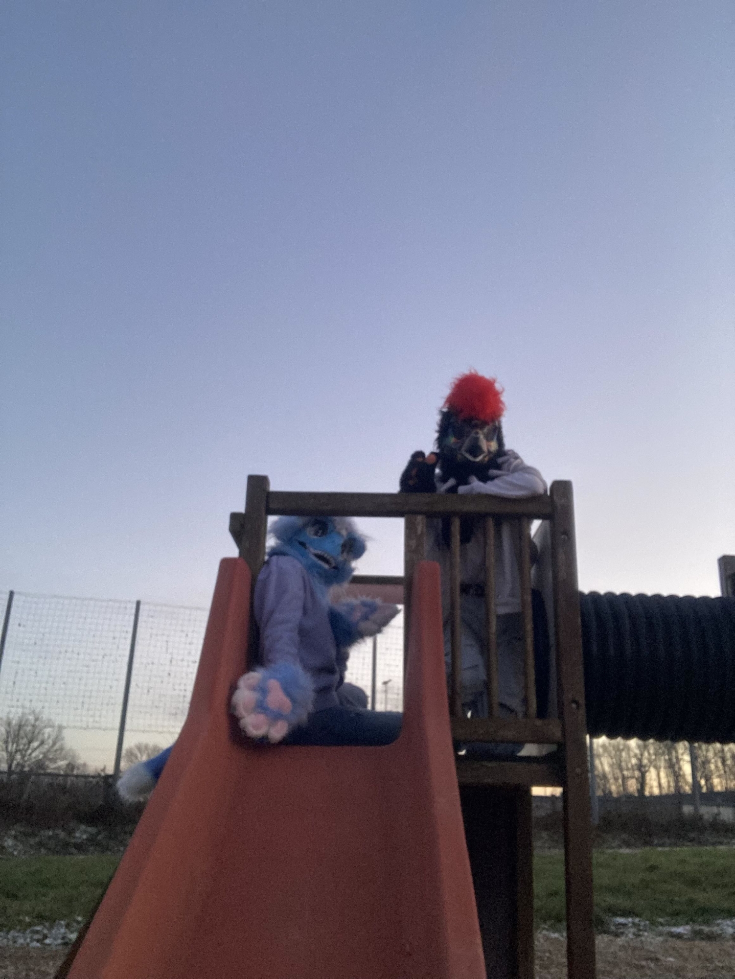 Conv/furmeet — photo 12