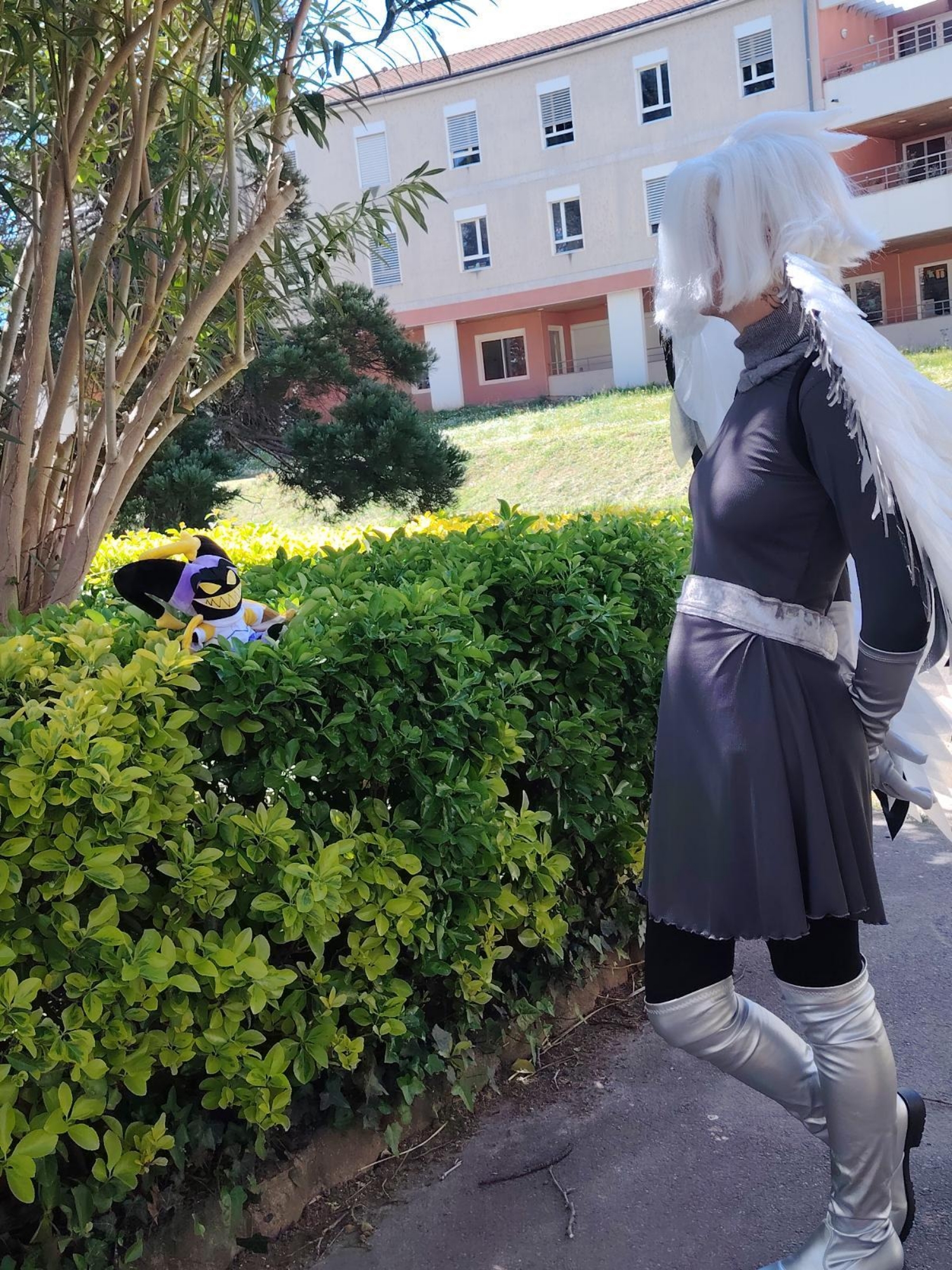 Lute — photo 23