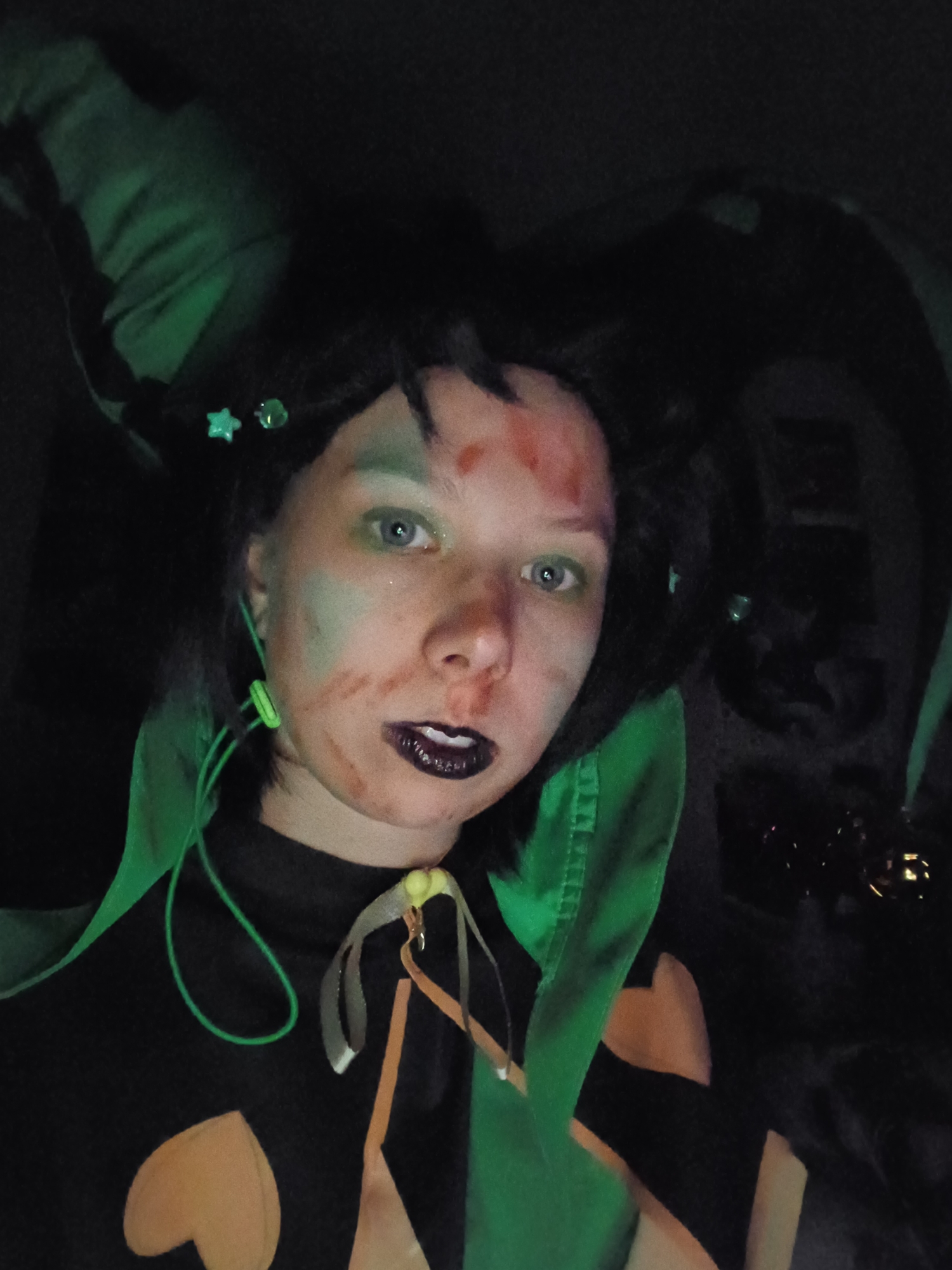 Harlequin, photo 32