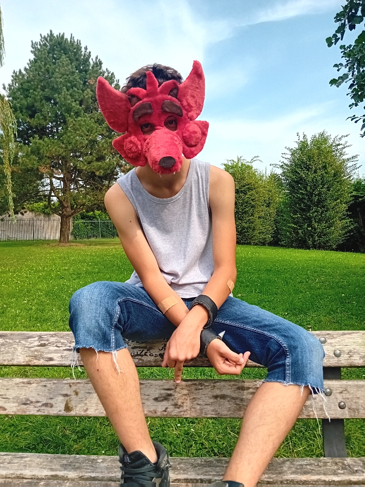 Orchies Festival - Photo 8