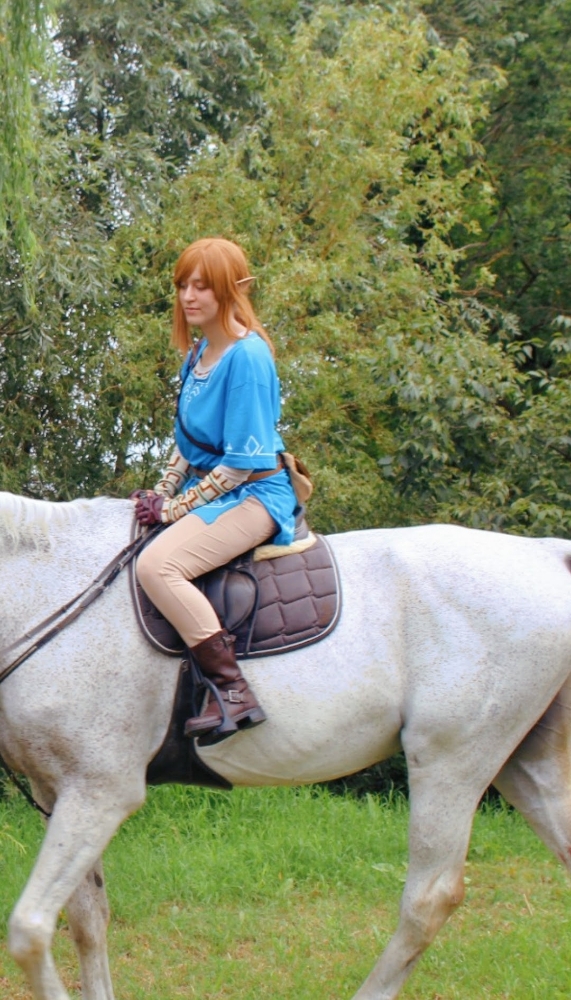 Link (Botw) - Photo 20