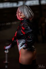 2B self destruc preview 3