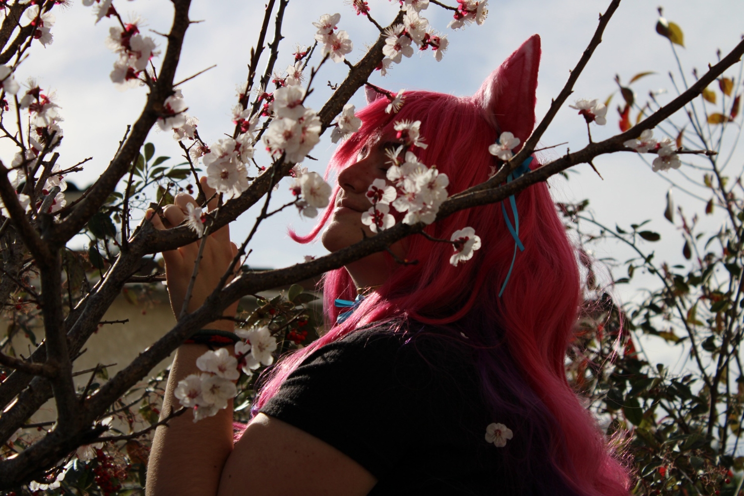 Ahri spirit blossom — photo 10
