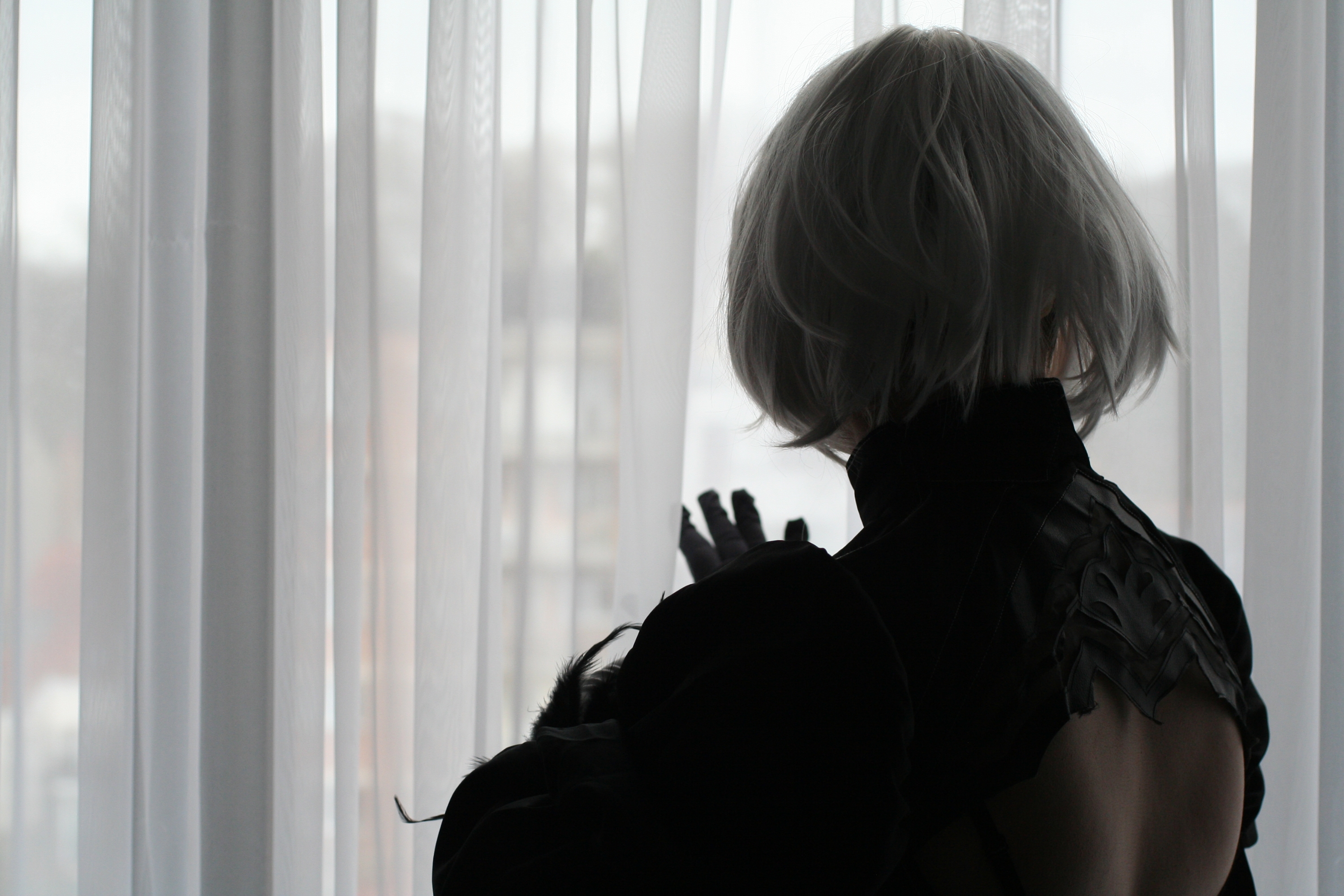 2B — photo 6