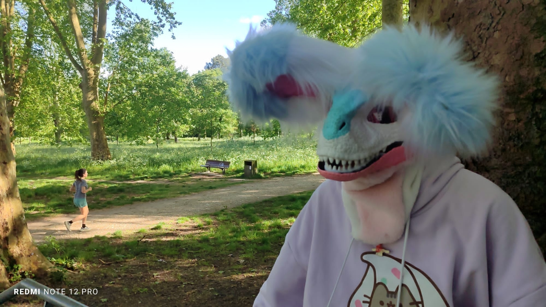 Debut du printemps  - Photo 18