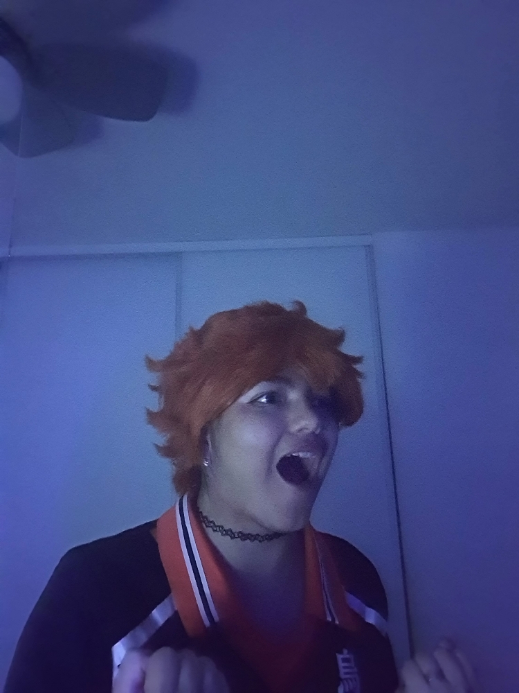 Shôyo hinata — photo 13