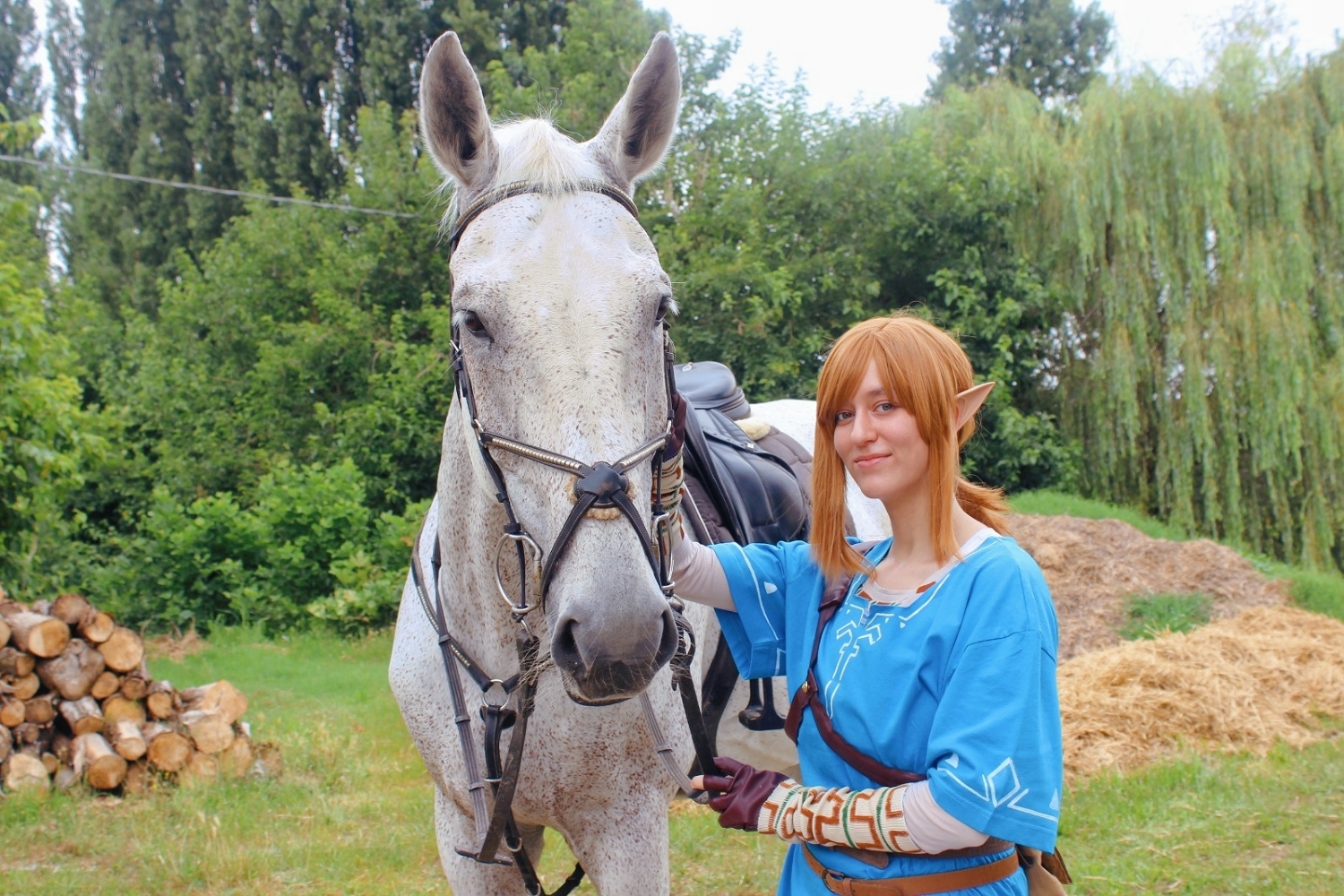 Link (Botw) — photo 22
