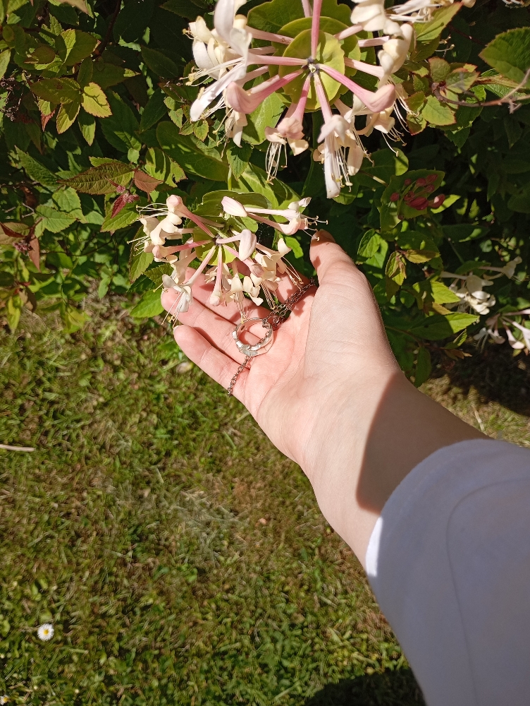 Xie Lian!! — photo 14