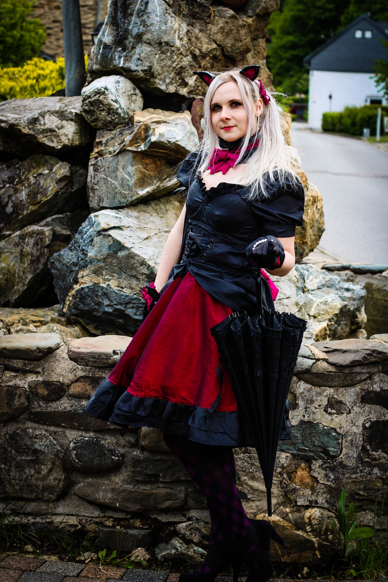 Black Cat DVA — photo 13