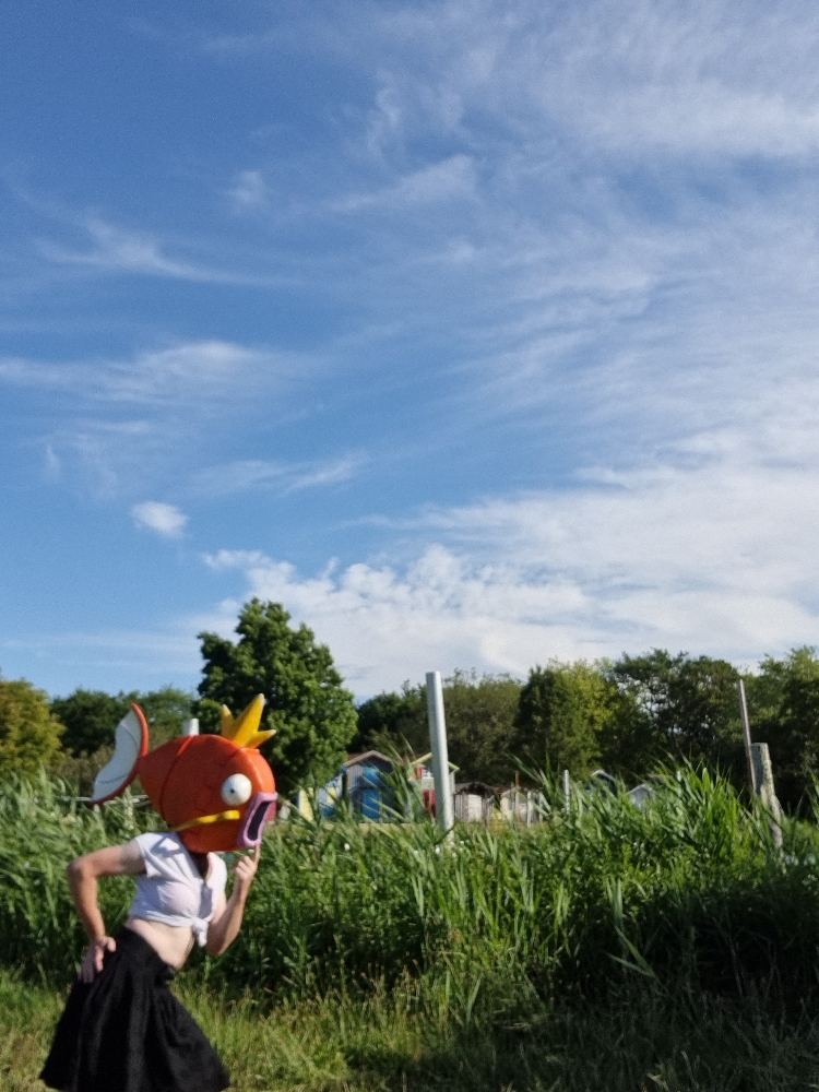 MagicarpettePortBiga - Photo 7