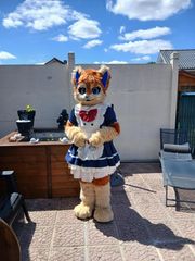 New dress preview 2