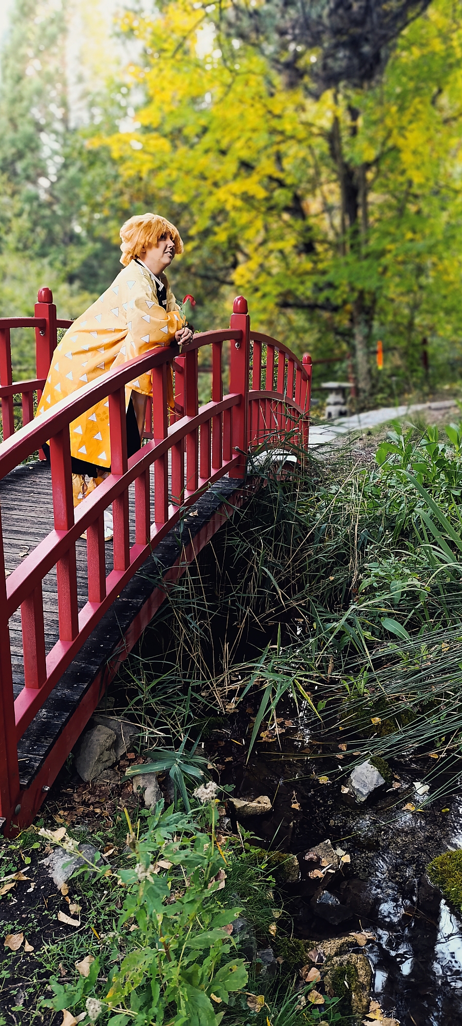 Zenitsu — photo 9