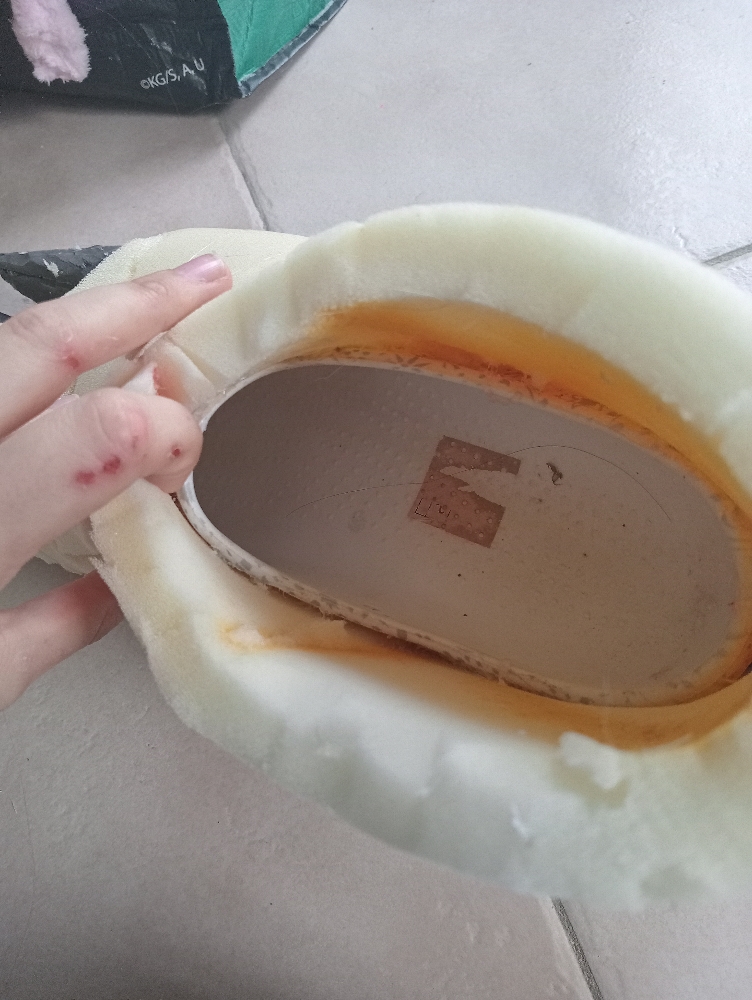 Wip Dogday pied — photo 8
