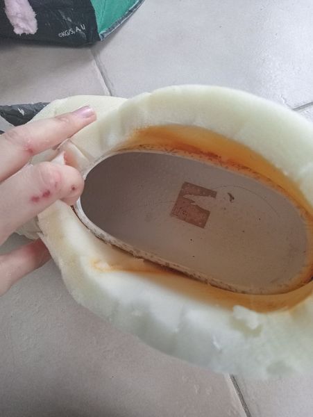 Dragona - Wip Dogday pied