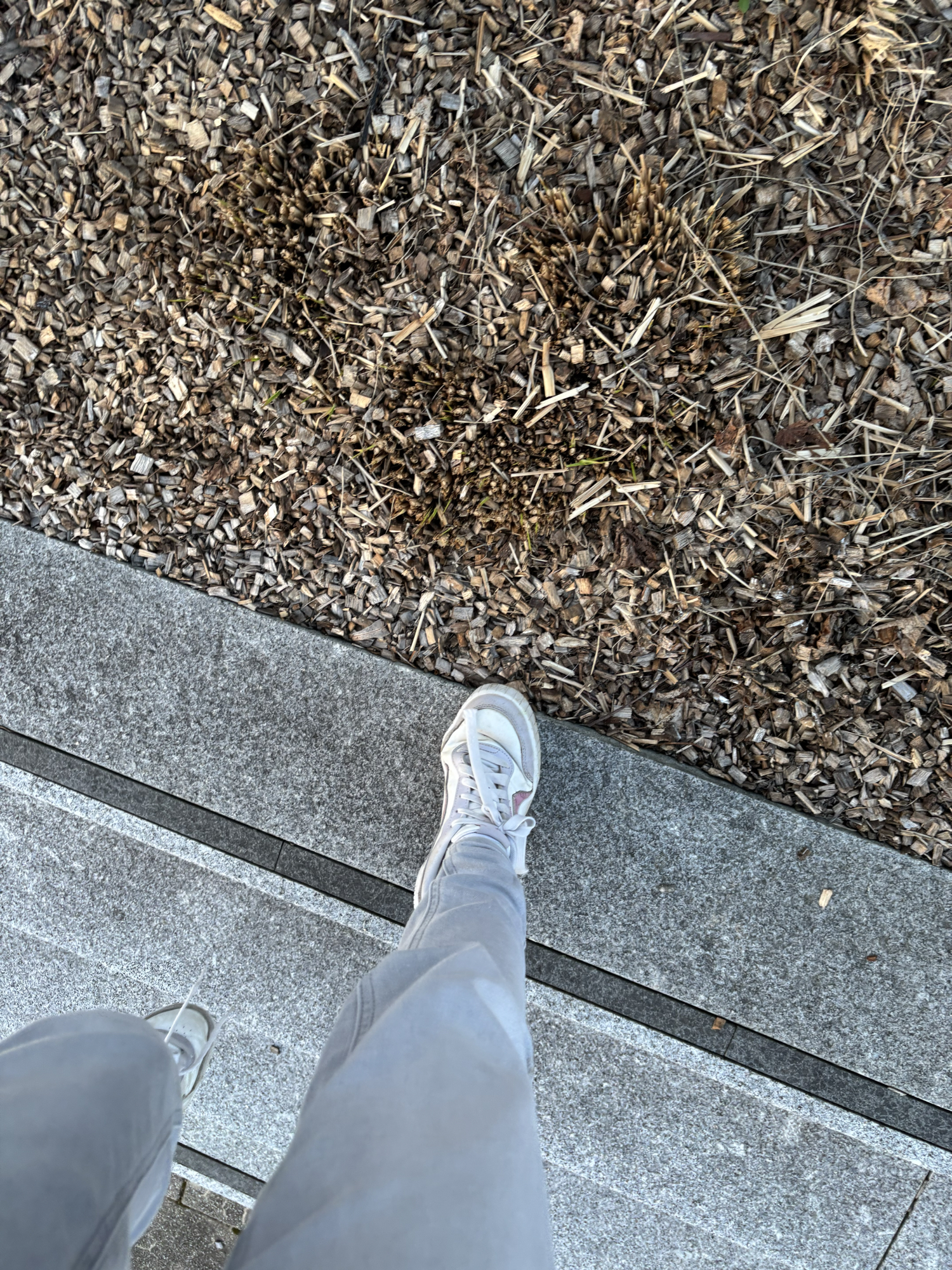 Miyo — photo 5