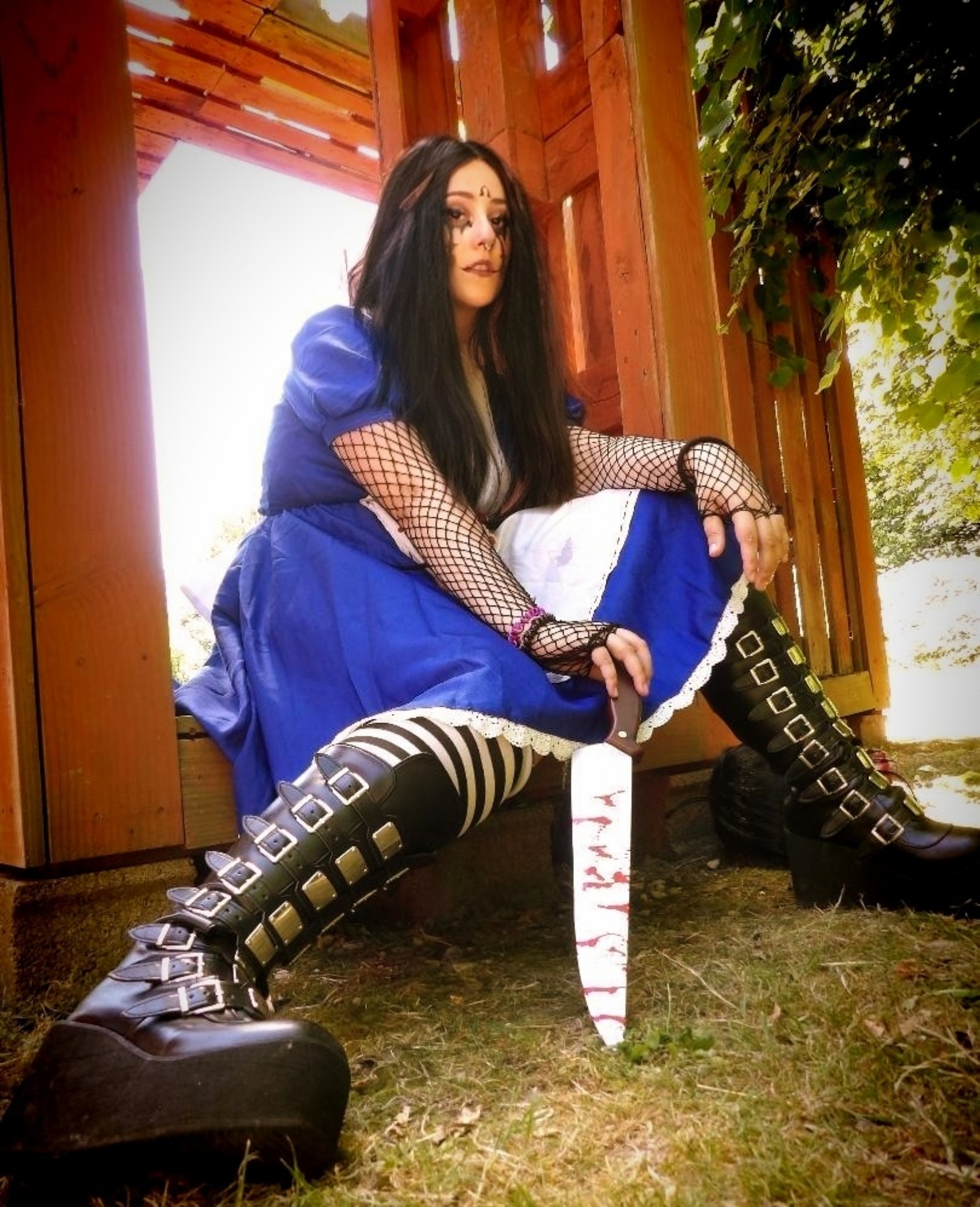 Alice madness return — photo 5