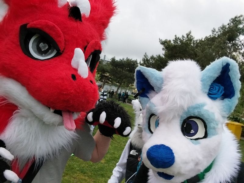 Nocturnes.water – Titan à japanante