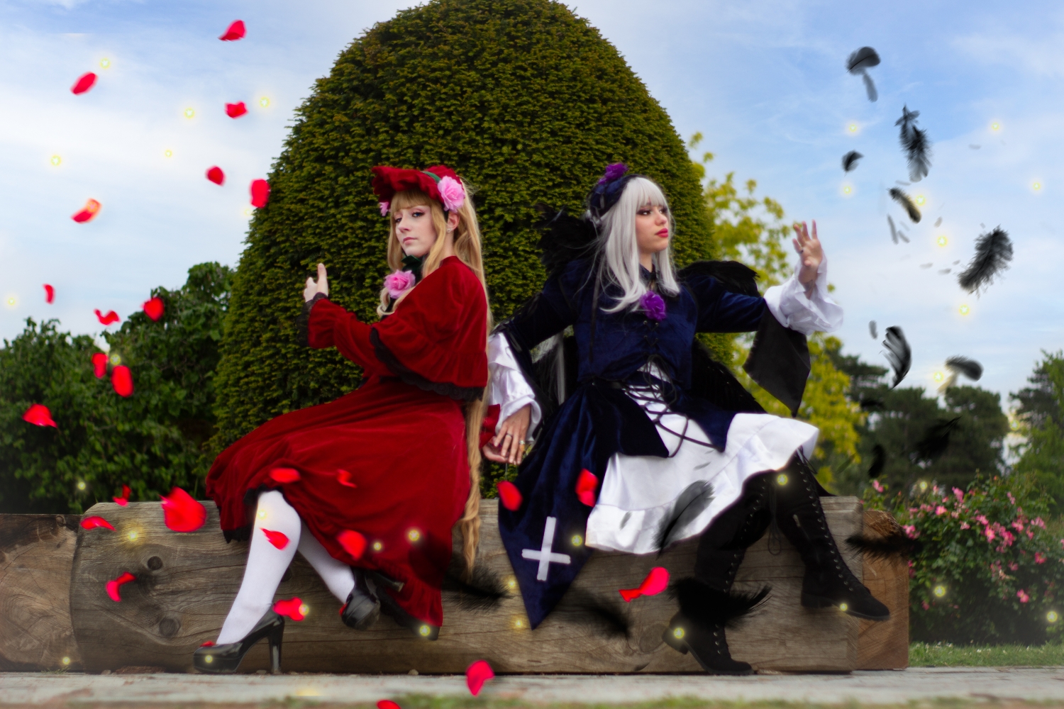 Duo rozen maiden - Photo 8
