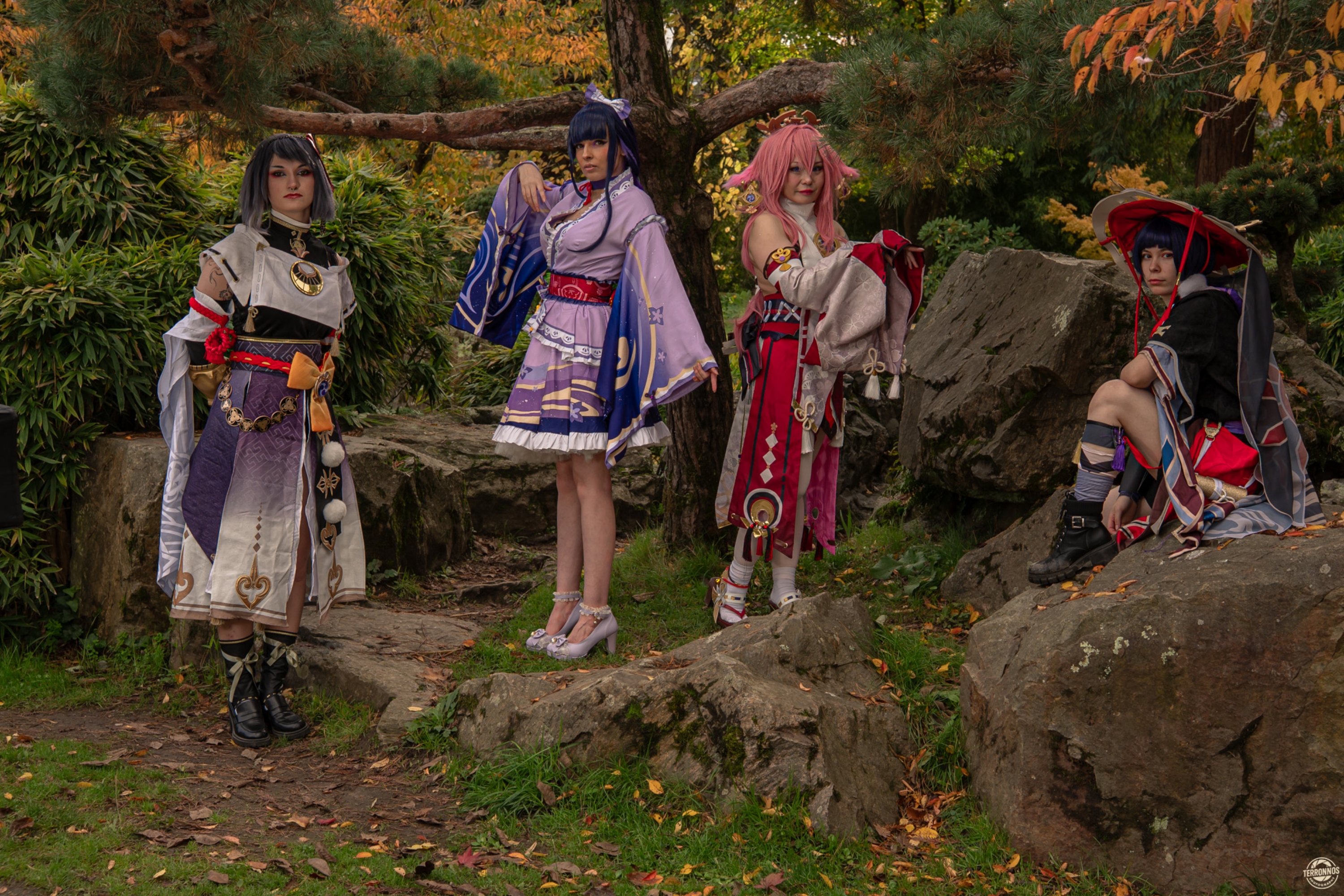 Raiden Shogun — photo 5