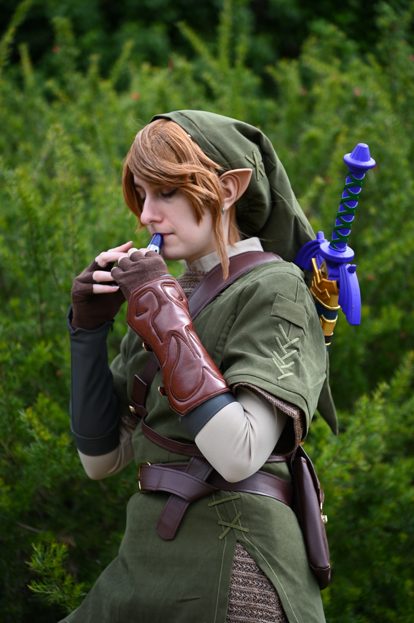 Link — photo 6