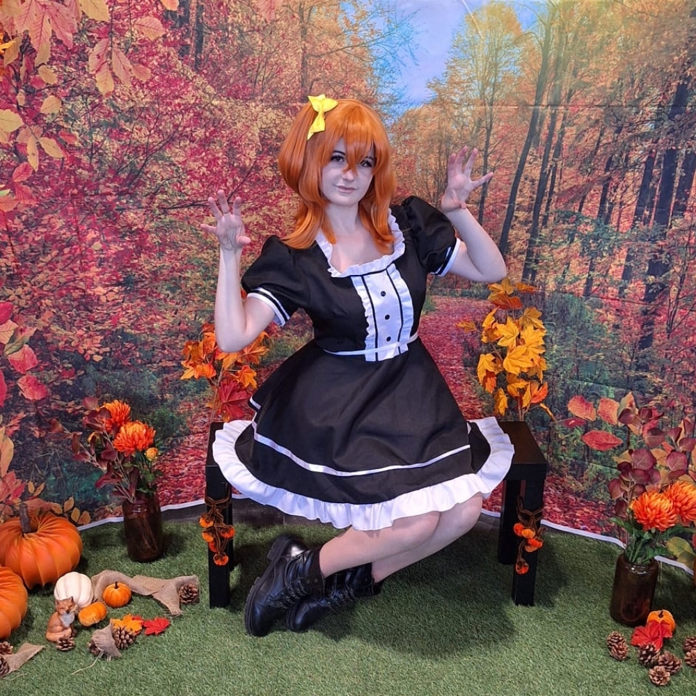 Honoka maid ver 5