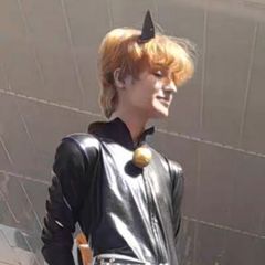 Chat noir preview 2