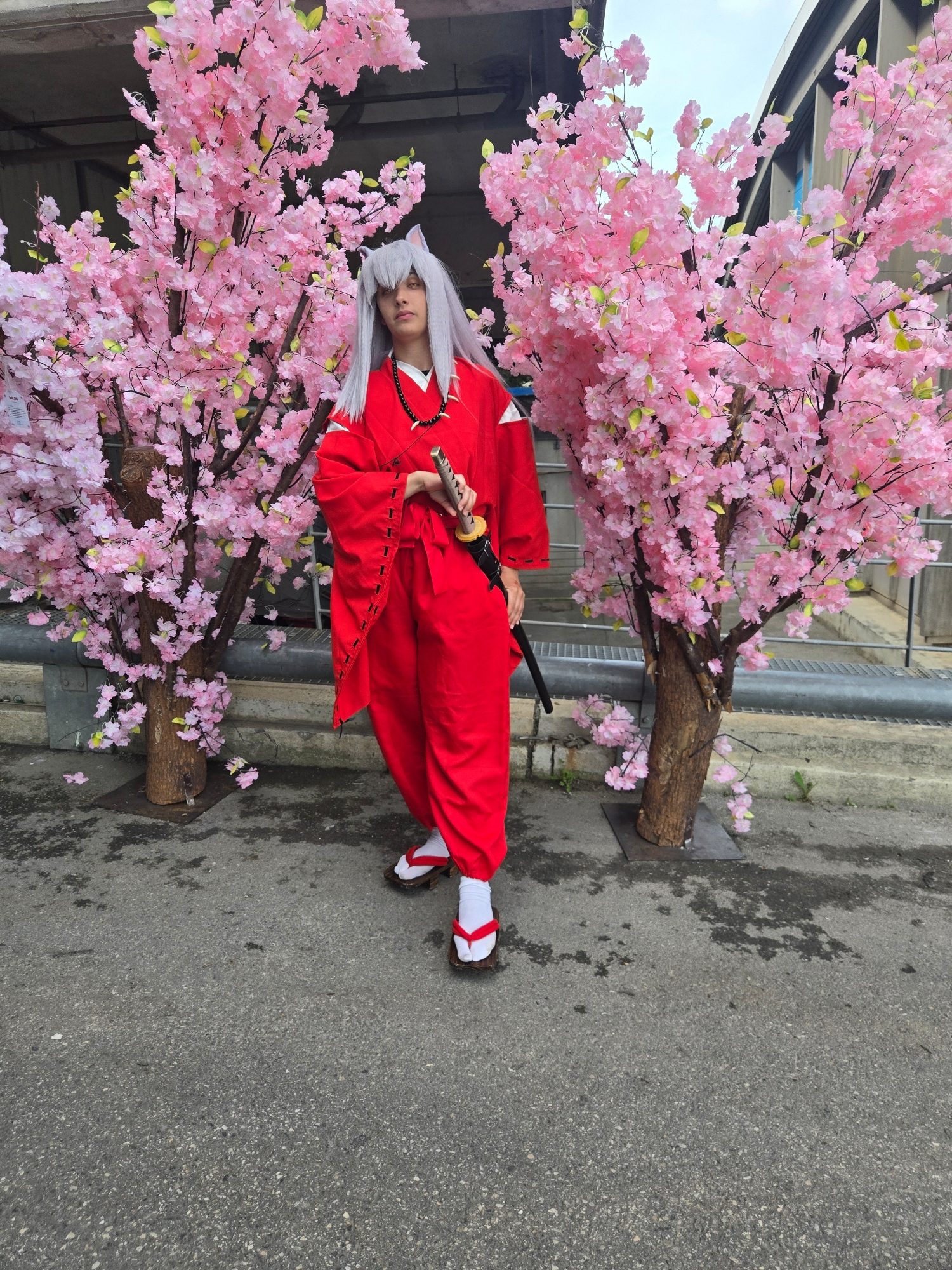Inuyasha — photo 48