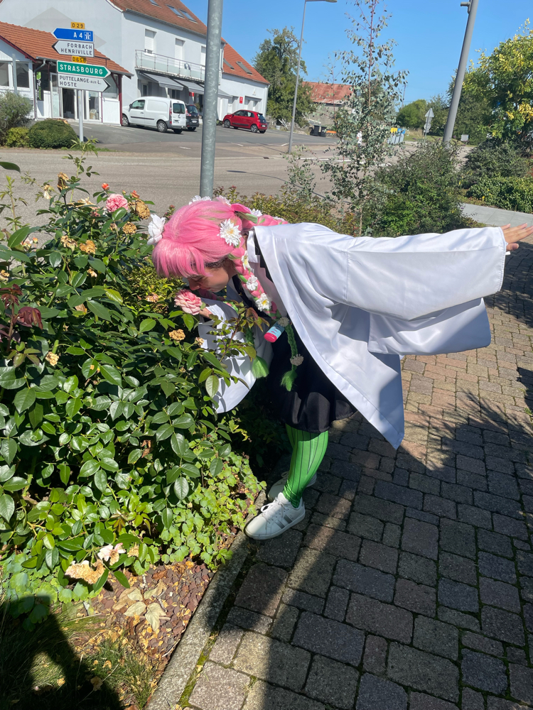 Tanjiro & mitsuri - Photo 6