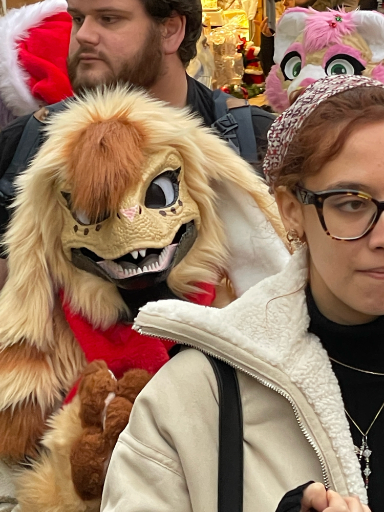 Photos Tapioca - Photo 8