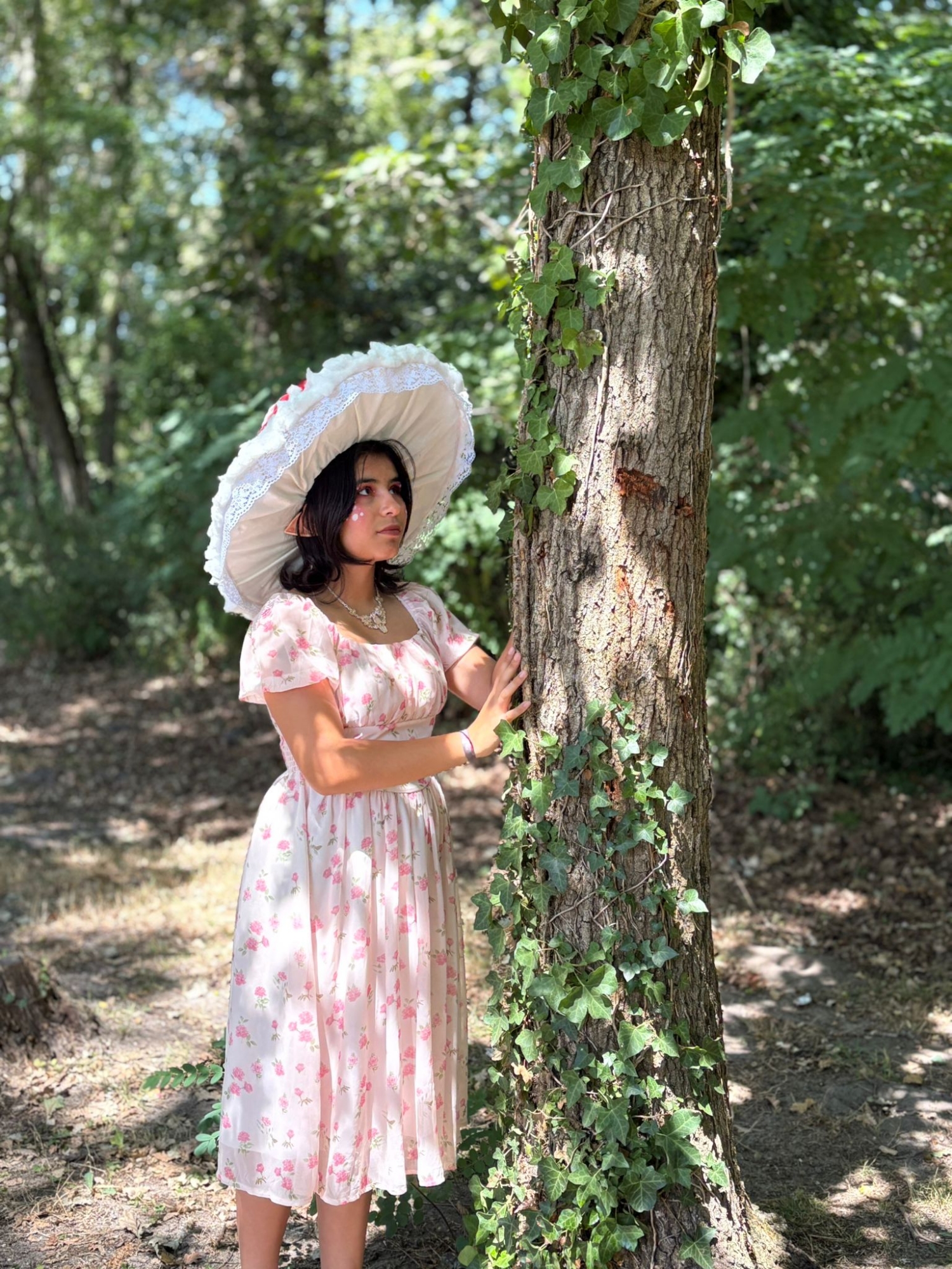 Champignon féerique  - Photo 1