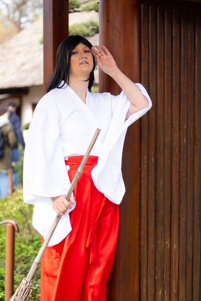 Amy-sama, Rei Hino Miku