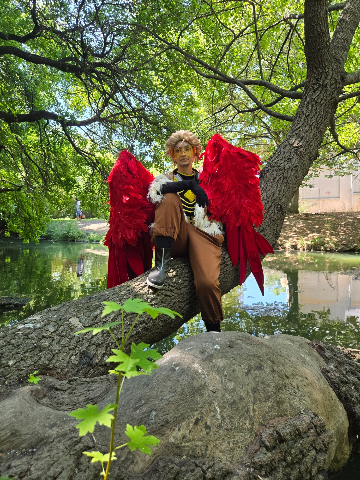 Hawks, photo 84