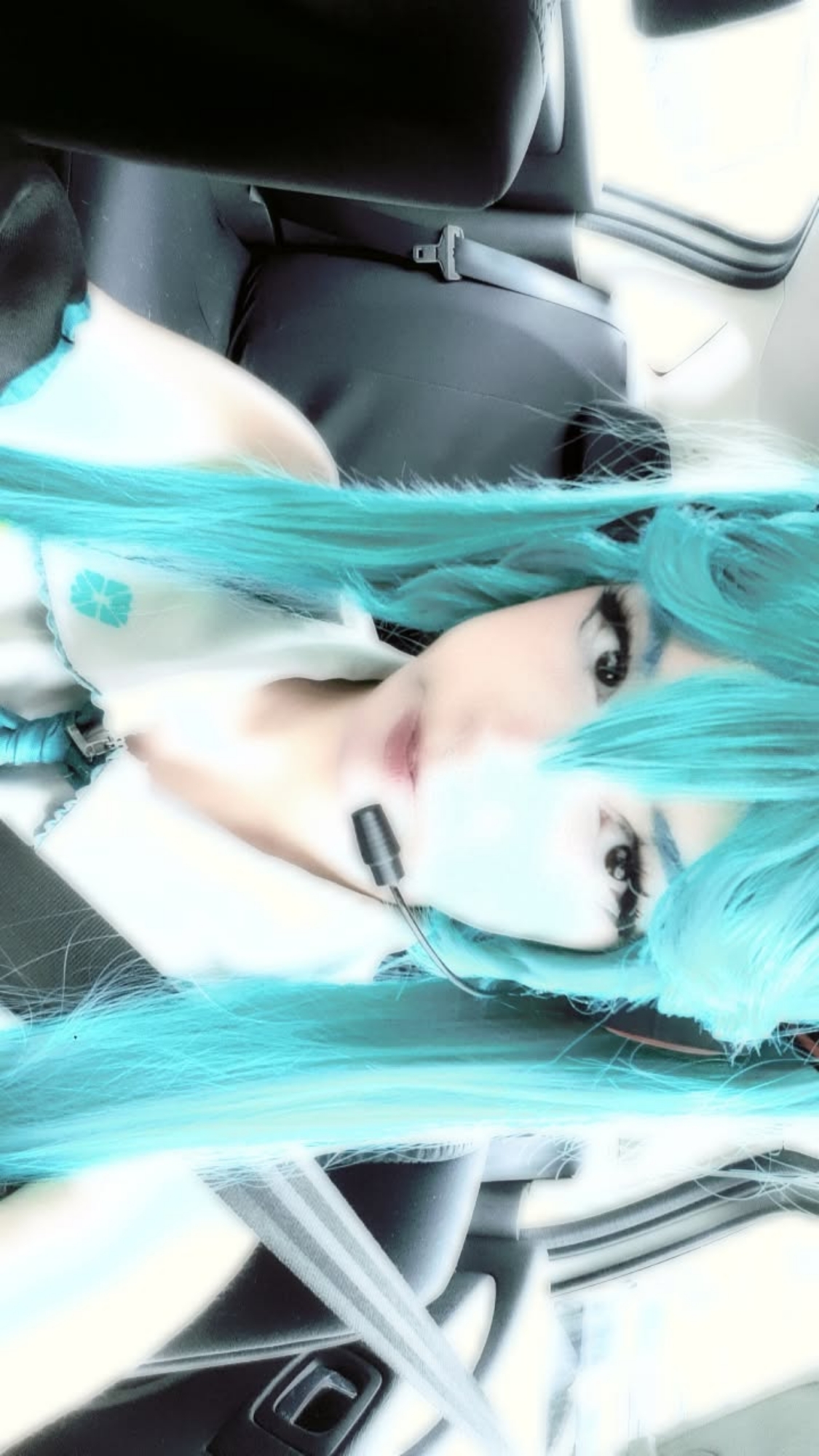 Miku — photo 6