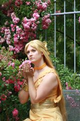 Princess Venus-Anime preview 2