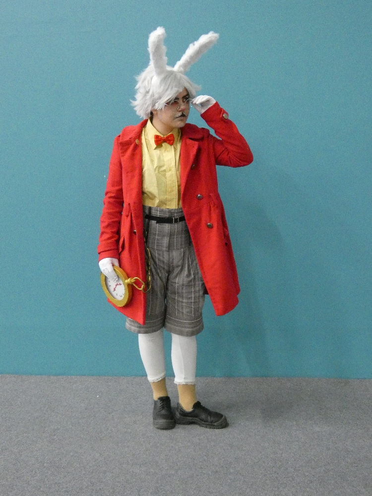 Lapin Blanc - Photo 4