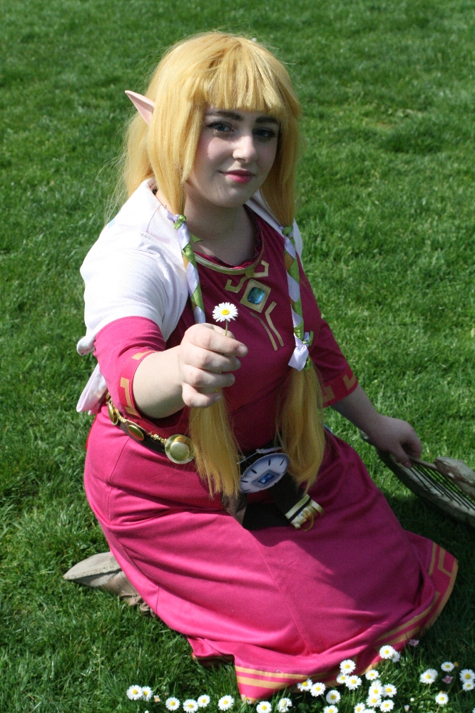 Zelda Skyward Sword — photo 26