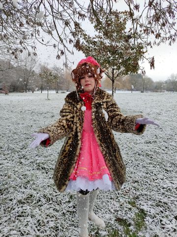 Sakura neige