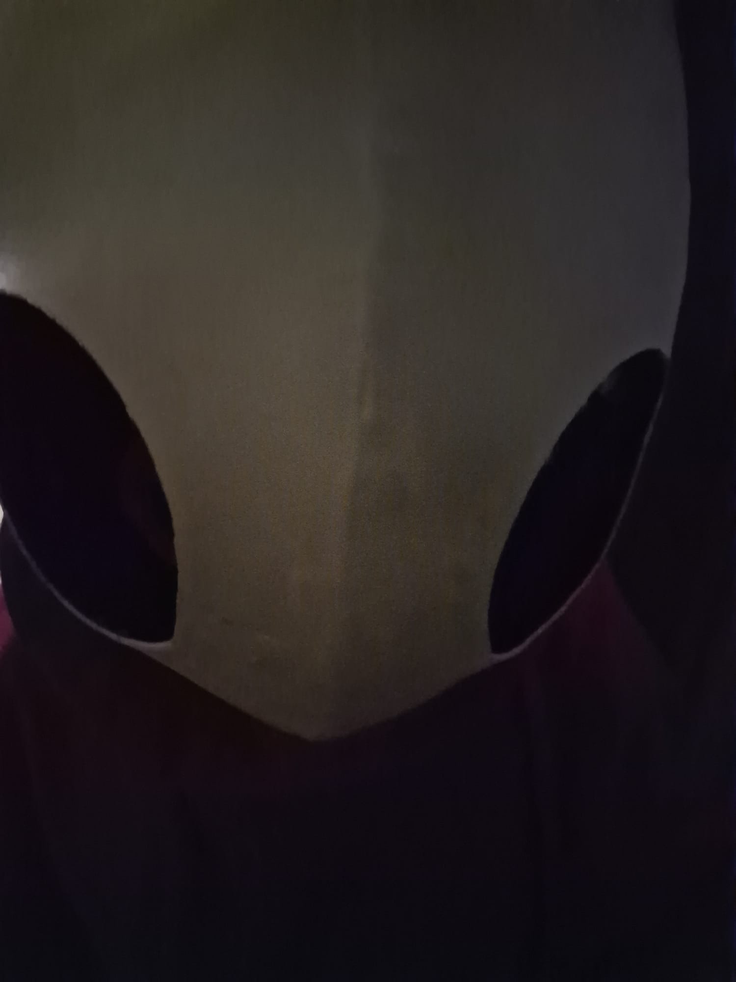 Hornet — photo 21
