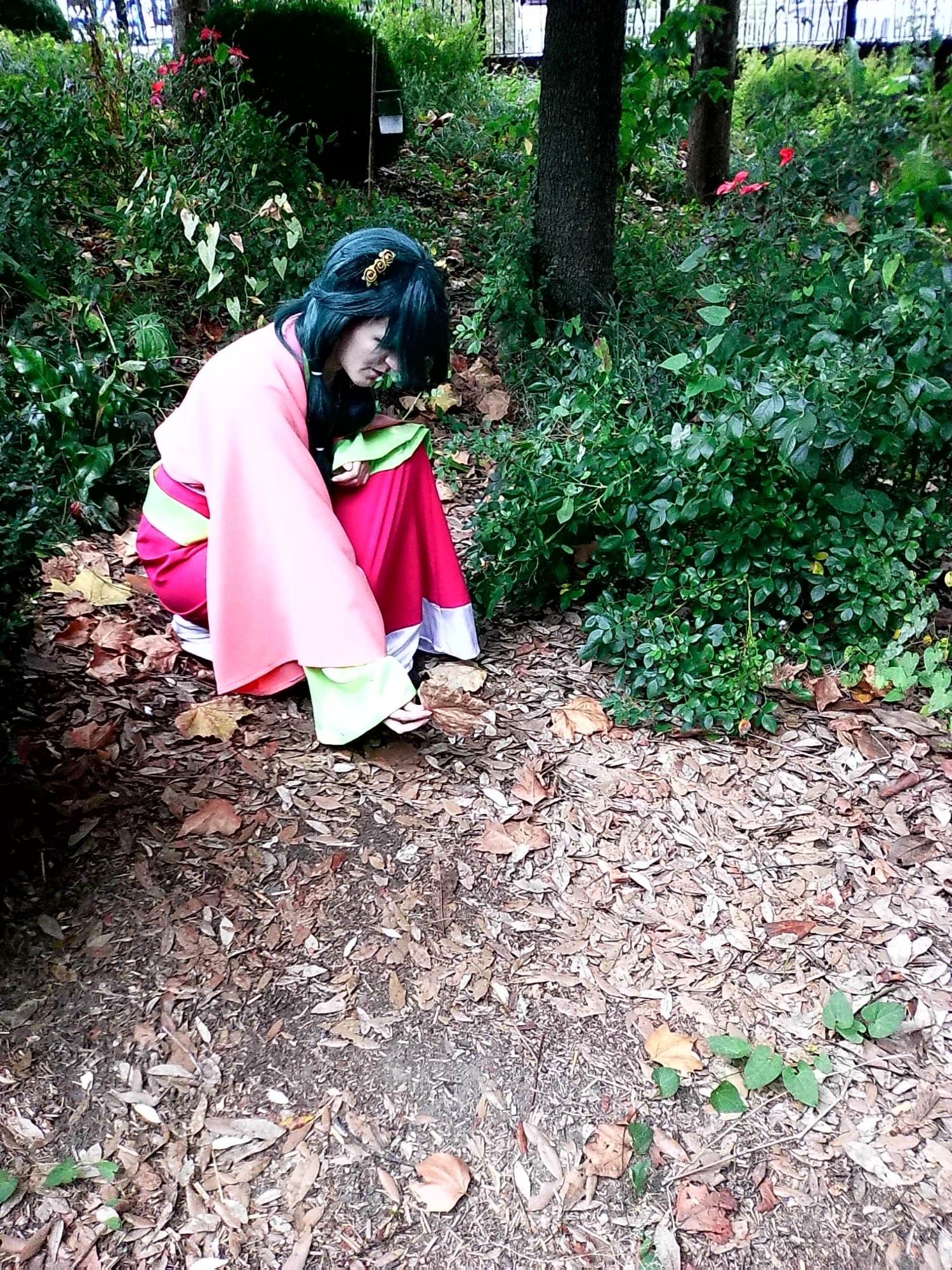 Maomao (pas complète — photo 15