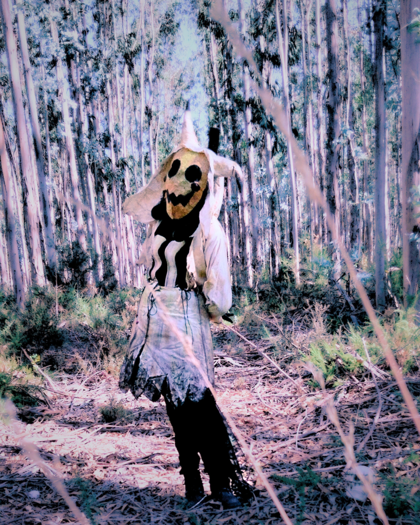 Mimikyu — photo 12