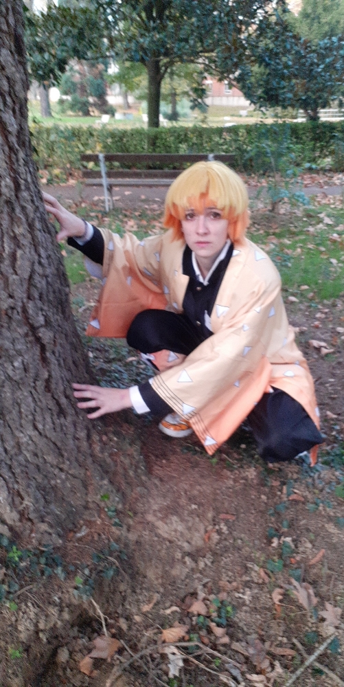 Zenitsu Agatsuma  - Photo 17