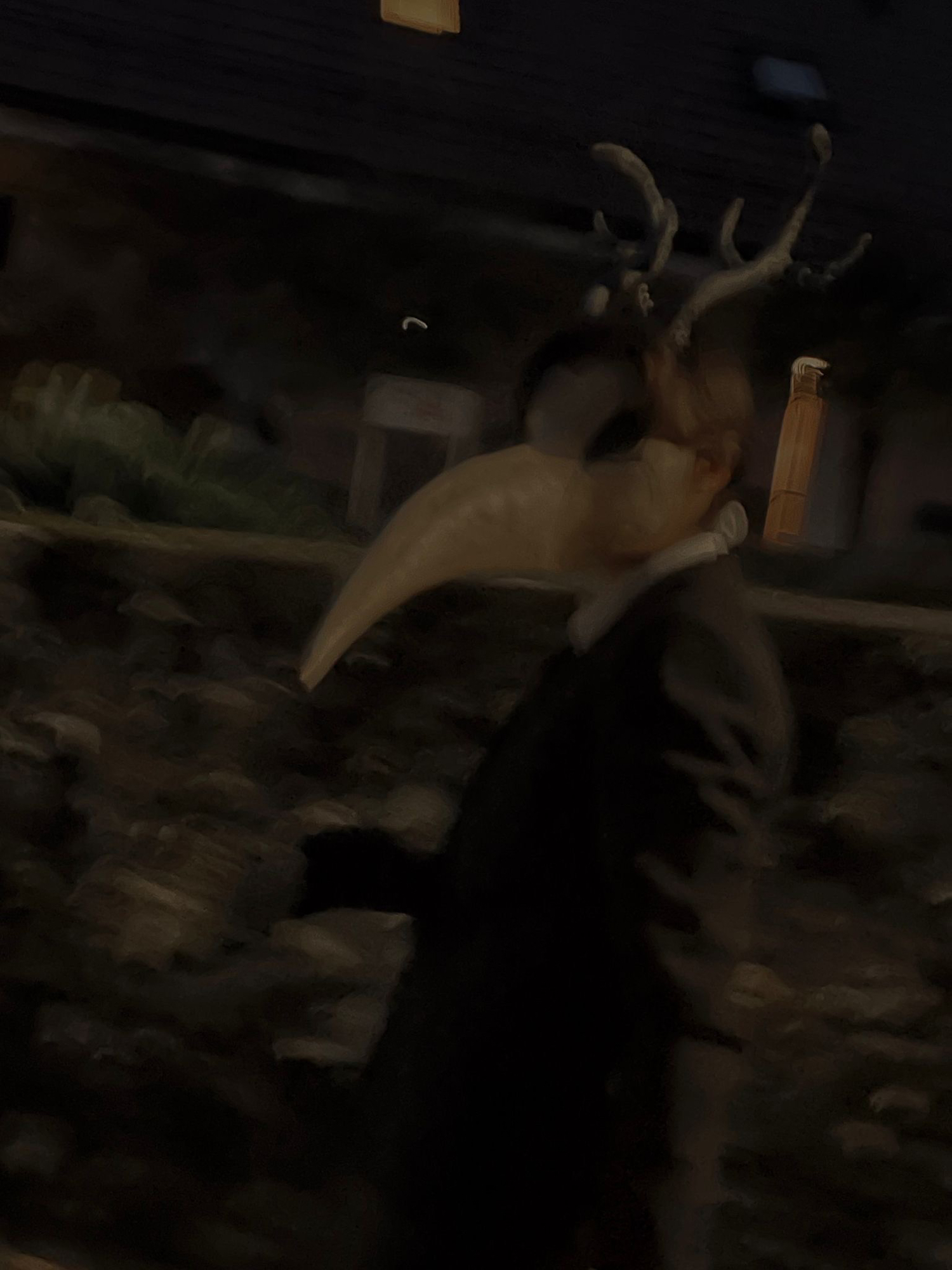 Halloween photoshoot — photo 7