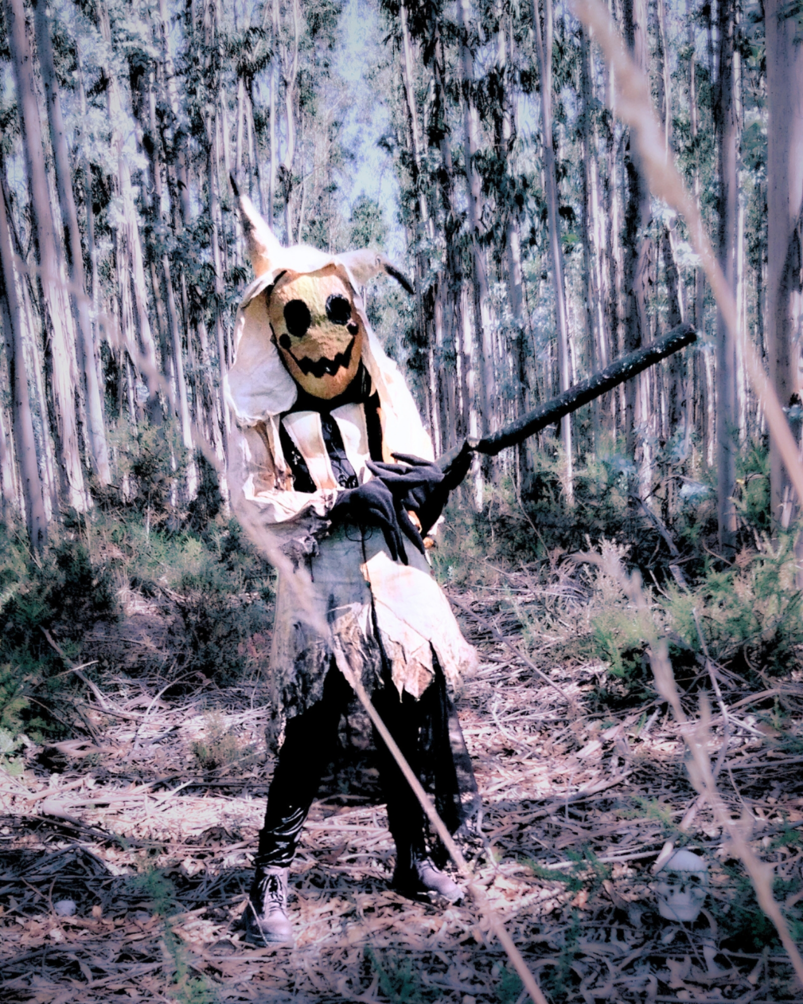 Mimikyu — photo 6