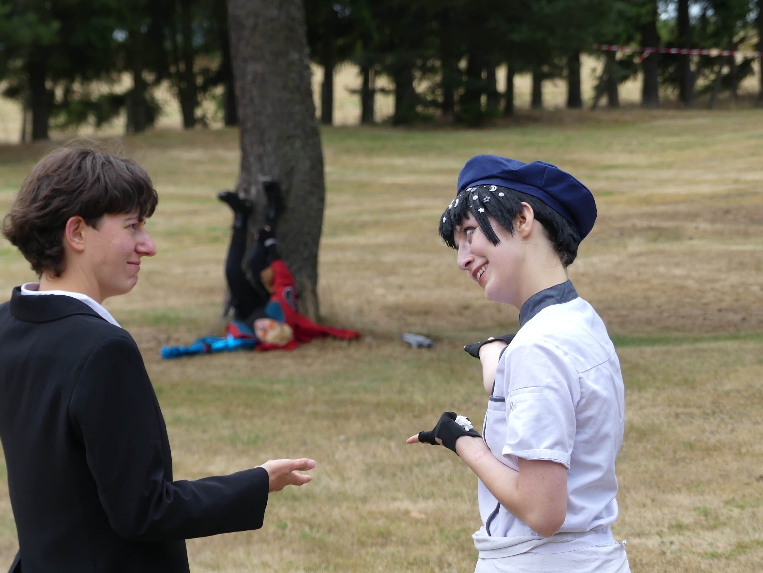 Gevaudan pop culture - Photo 20