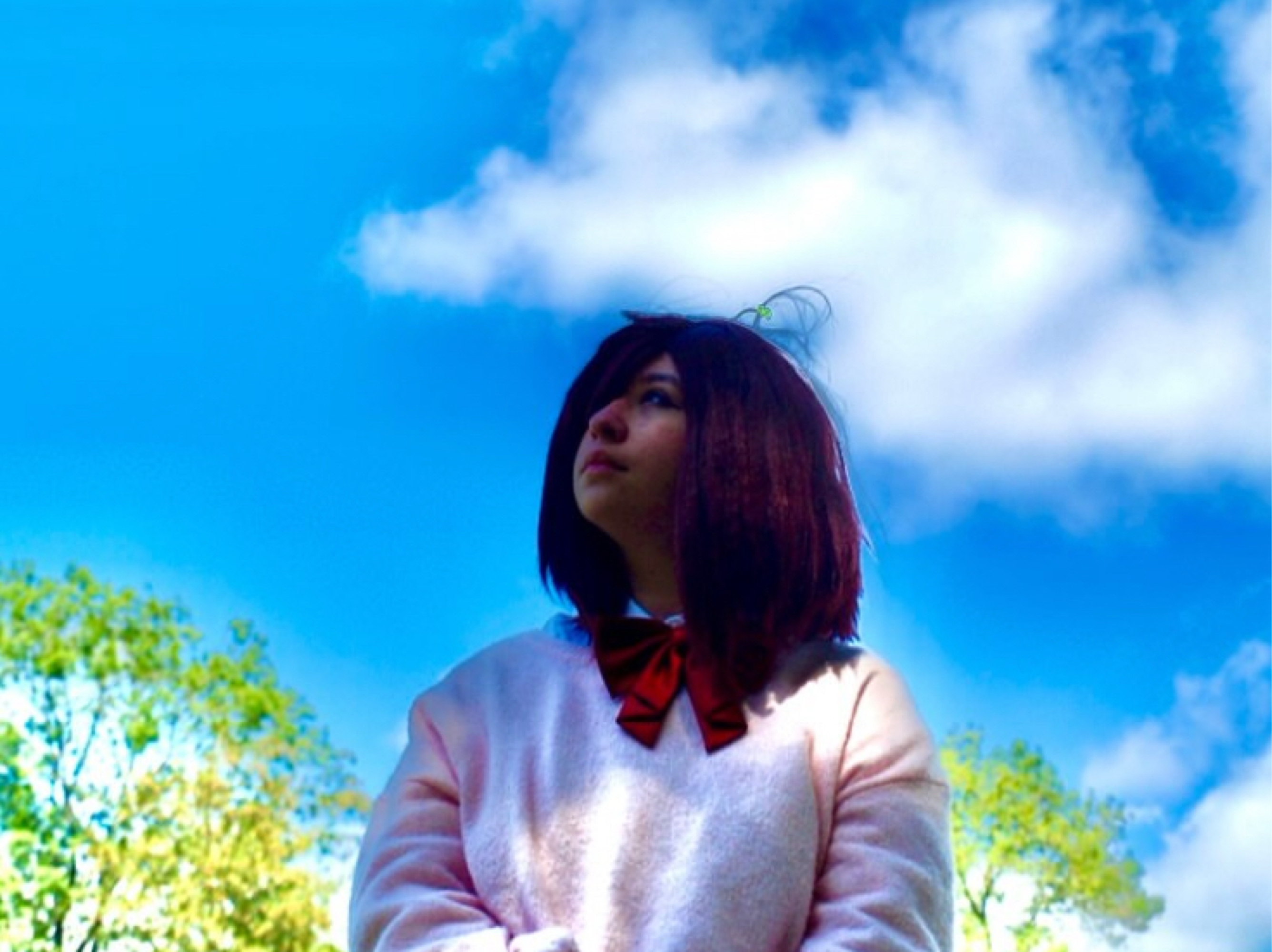 Momo — photo 15