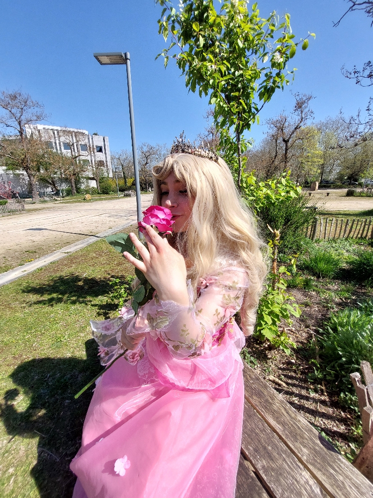 Aurore — photo 6