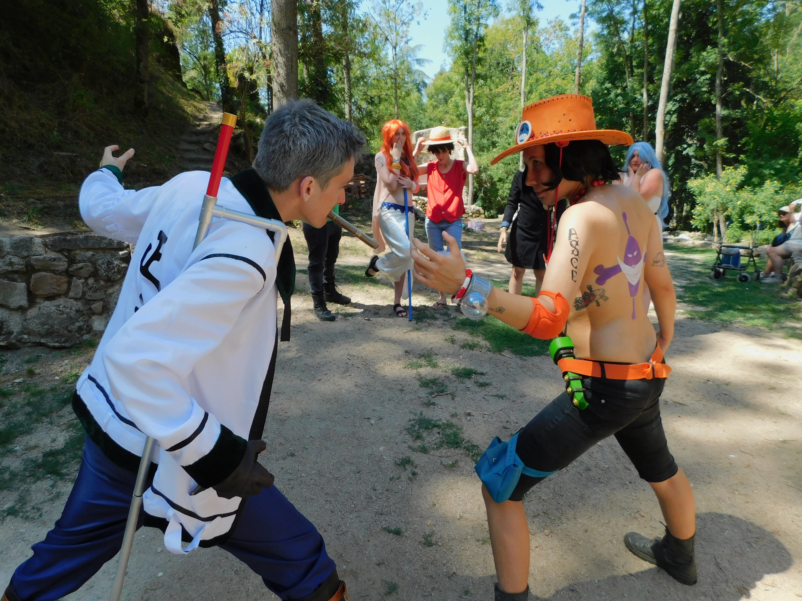One piece alabasta — photo 12