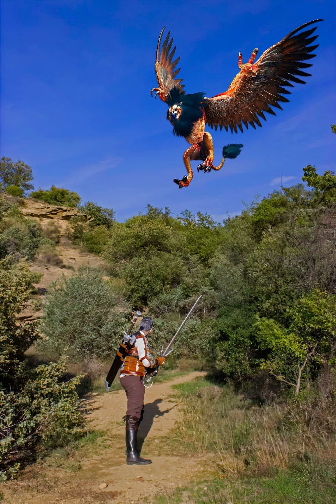 Geralt De Riv  - Photo 13